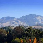 Walnut Creek Marriott 
